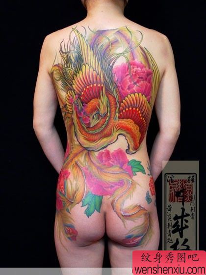 美女满背彩色凤凰纹身图案