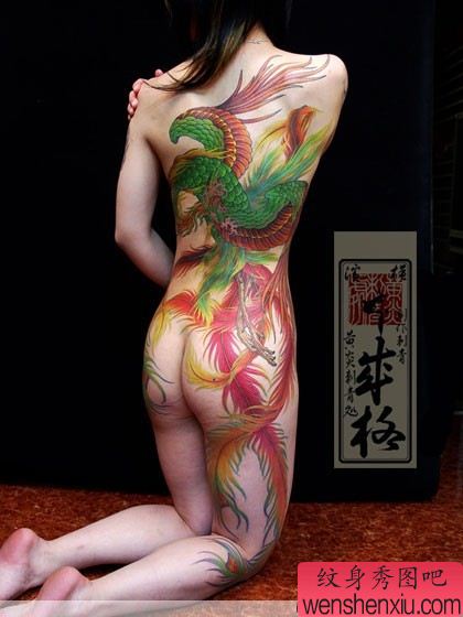 日本黄炎纹身美女彩色满背凤凰纹身作品
