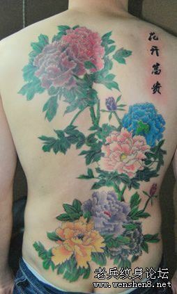 一幅满背工笔画牡丹纹身图案