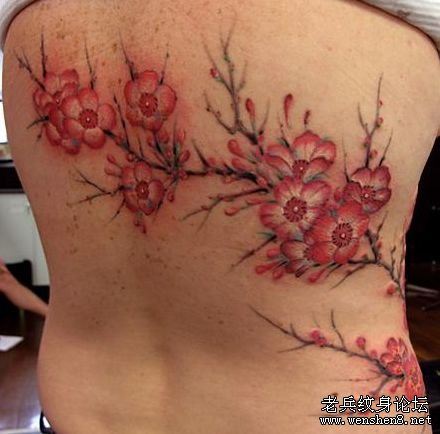 背部彩色梅花纹身图案
