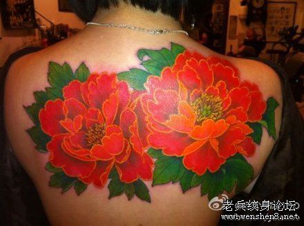美女背部彩色牡丹纹身图案