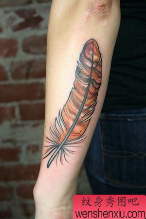 手臂彩色羽毛纹身