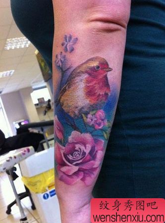 手臂彩色小鸟喜鹊花卉纹身