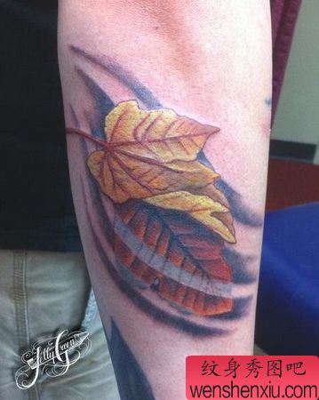 手臂彩色树叶枫叶纹身图案
