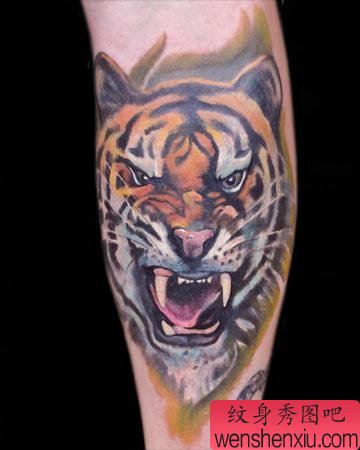 手臂彩色老虎纹身