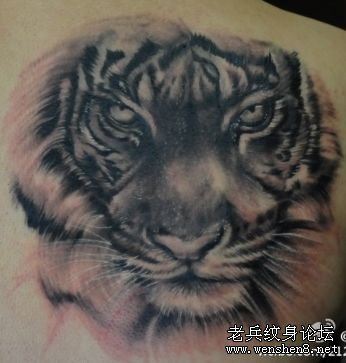 肩部老虎虎头纹身