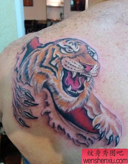 肩部彩色撕皮老虎纹身