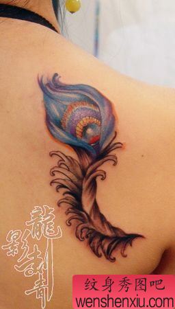 美女肩部彩色孔雀羽毛纹身