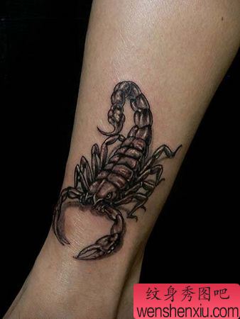 美女脚部蝎子纹身图案