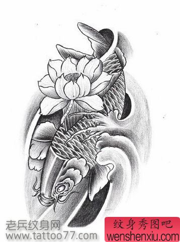 鲤鱼纹身手稿
