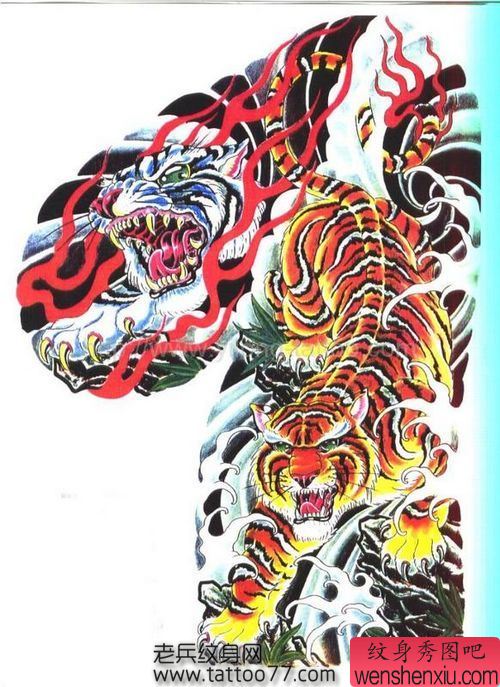 半胛纹身手稿：半胛老虎纹身手稿