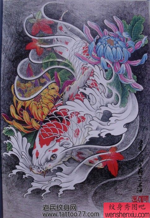 鲤鱼纹身手稿:彩色鲤鱼菊花纹身手稿