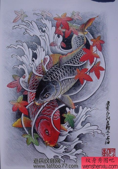 纹身秀图吧为你分享一幅鲤鱼枫叶纹身手稿