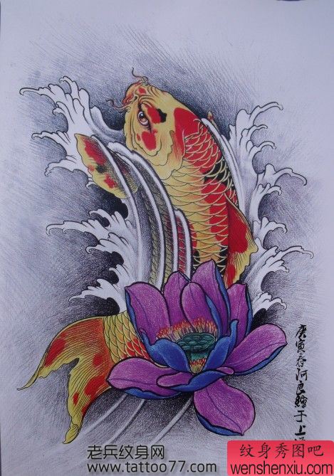 鲤鱼纹身手稿：彩色鲤鱼莲花纹身手稿