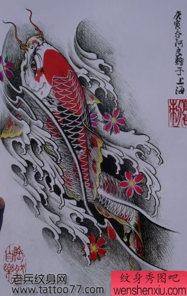 鲤鱼纹身手稿:彩色樱花鲤鱼纹身手稿