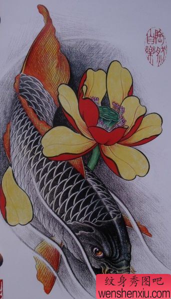 莲花鲤鱼纹身手稿纹身秀图吧为你分享