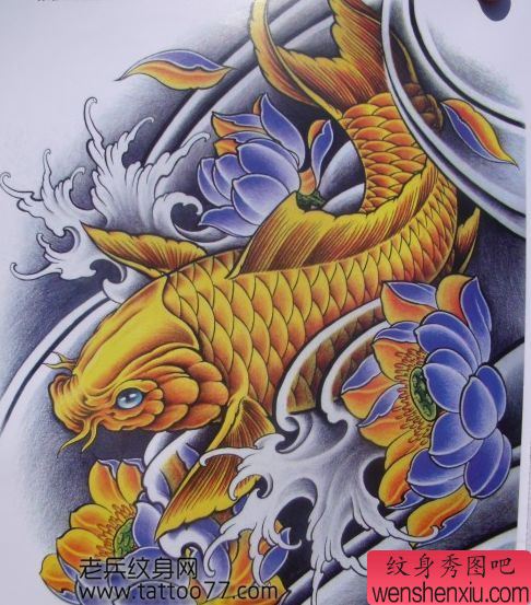 纹身秀图吧为你分享一幅金色鲤鱼纹身手稿
