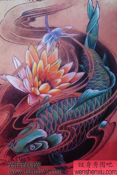 鲤鱼纹身手稿—彩色莲花蜻蜓鲤鱼纹身手稿