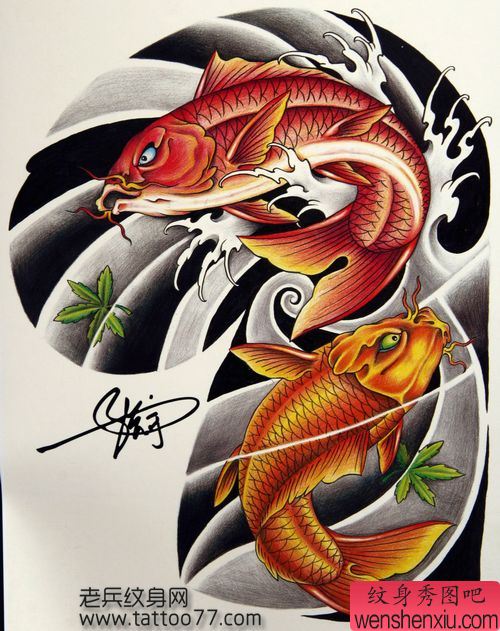 彩色半胛鲤鱼纹身手稿—纹身秀图吧为你分享