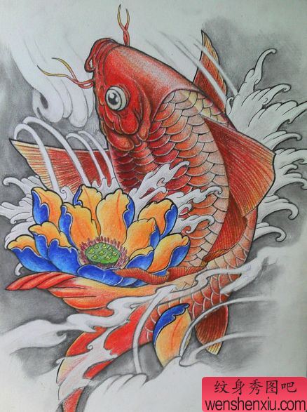 彩色鲤鱼莲花纹身手稿