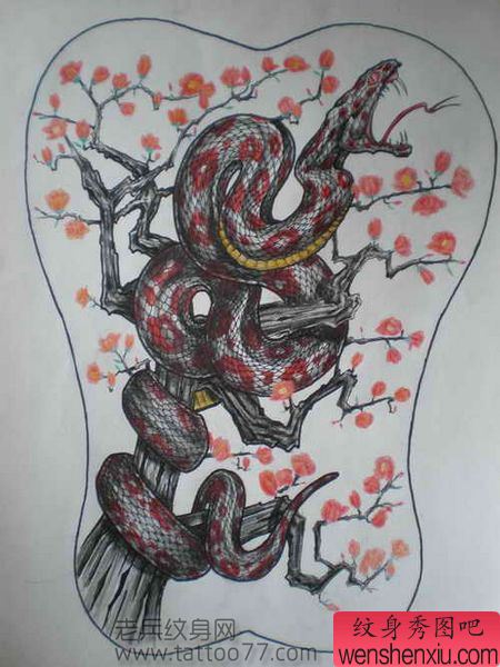 超帅的满背蛇梅花纹身手稿