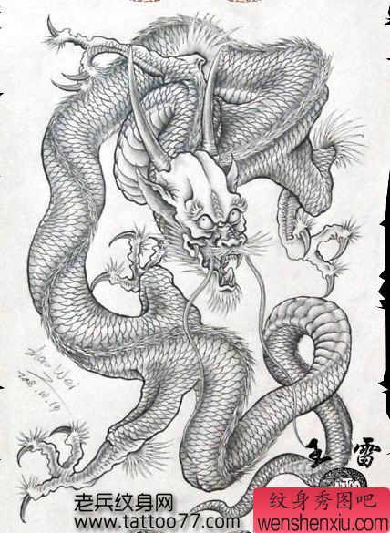 满背龙纹身手稿