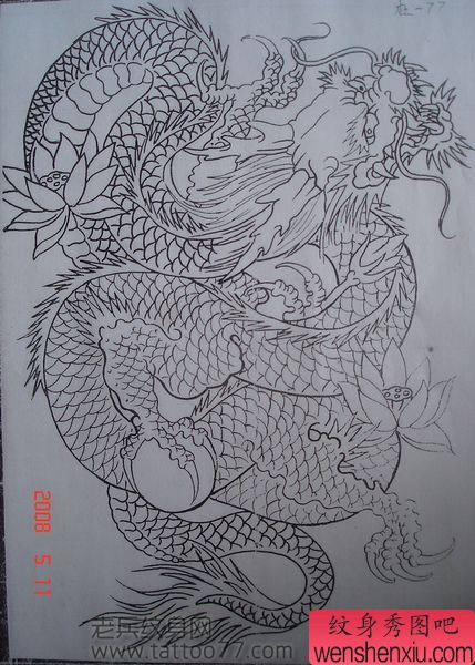 简单的满背龙纹身手稿