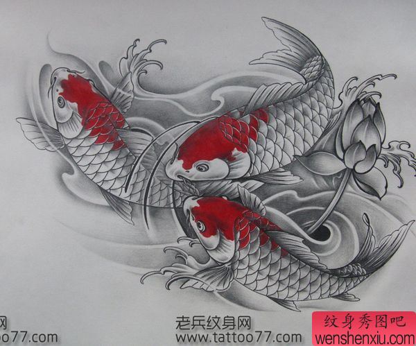 流行经典的锦鲤鲤鱼纹身手稿