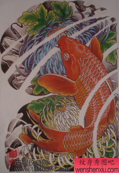 流行经典的半胛鲤鱼菊花纹身手稿