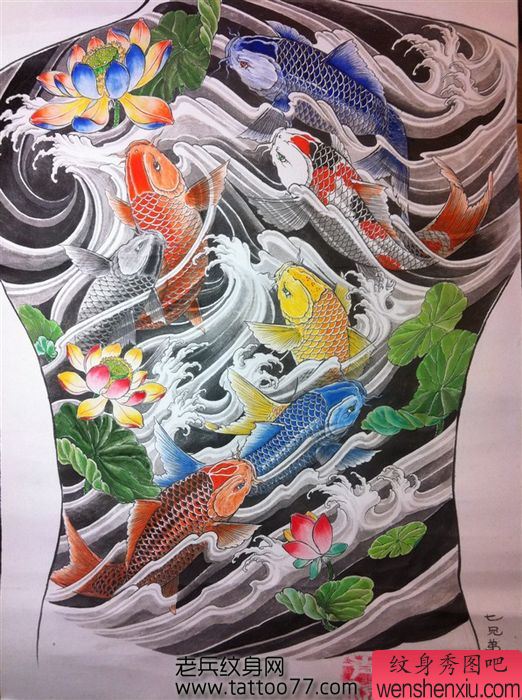 满背鲤鱼莲花纹身手稿