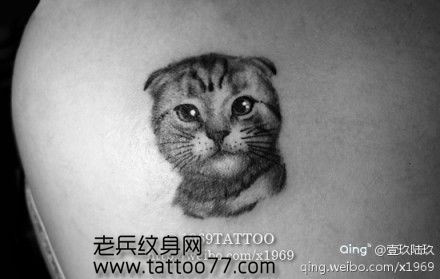 可爱的小猫咪纹身图案
