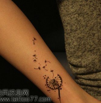腿部流行的蒲公英纹身图案