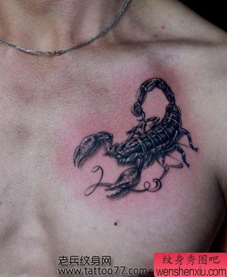 胸部经典的蝎子纹身图案