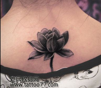 美女背部黑灰莲花纹身图案