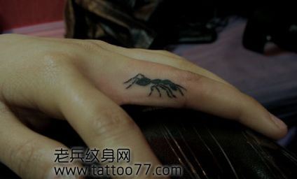 可爱的手指图腾蚂蚁纹身图案