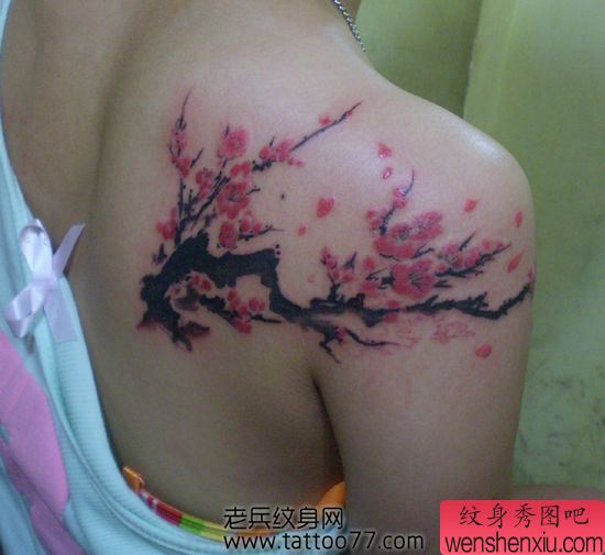 美女肩部梅花纹身图案