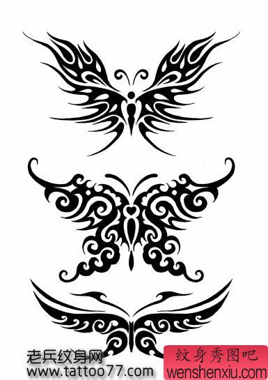 经典的图腾蝴蝶纹身图案