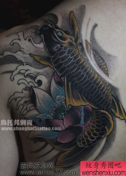 背部经典的鲤鱼莲花纹身图案