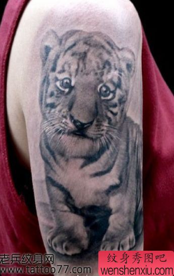 手臂可爱的小老虎纹身图案