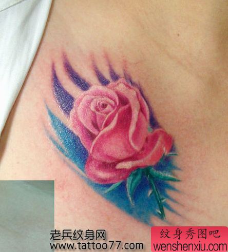 美女胸部好看的彩色玫瑰花纹身图案