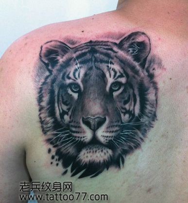背部霸气的虎头纹身图案