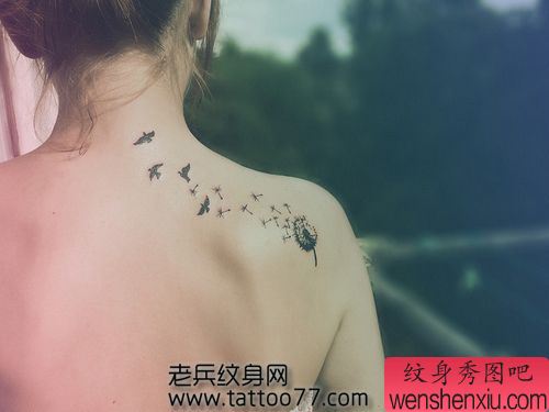 流行时尚的蒲公英图腾小鸟纹身图案