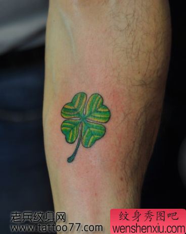 手臂好看的彩色四叶草纹身图案