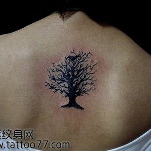 背部精美流行的图腾树纹身图案