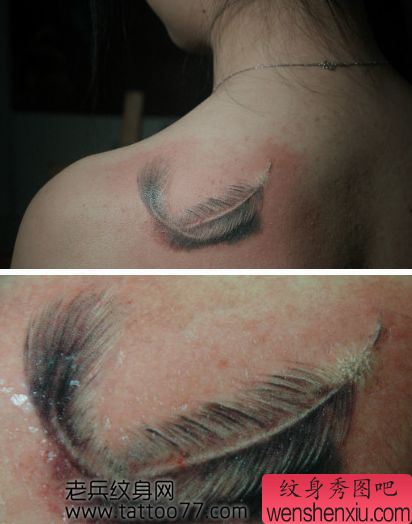 美女肩部唯美好看的羽毛纹身图案