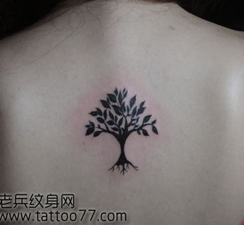 背部流行时尚的图腾树纹身图案