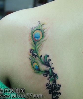 美女背部唯美流行的孔雀羽毛纹身图案