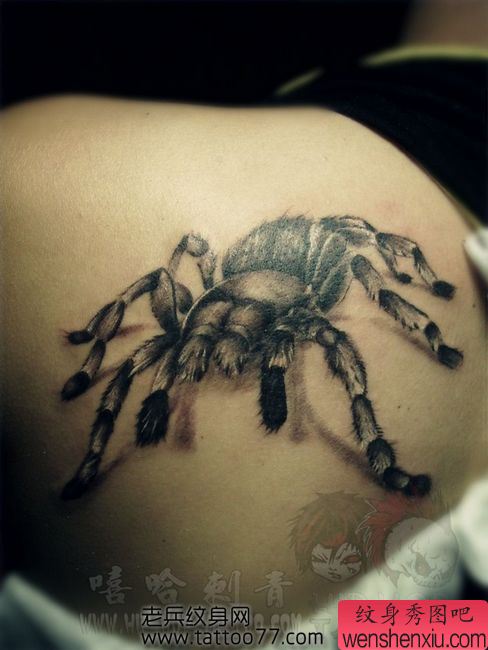 肩部流行帅气的蜘蛛纹身图案