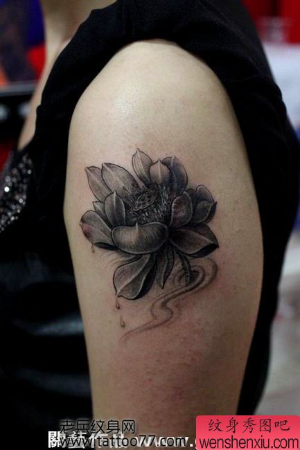 流行的手臂黑灰莲花纹身图案