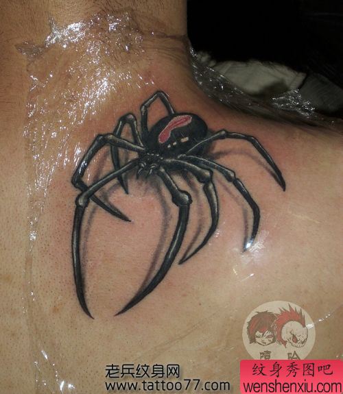 流行另类的背部蜘蛛纹身图案